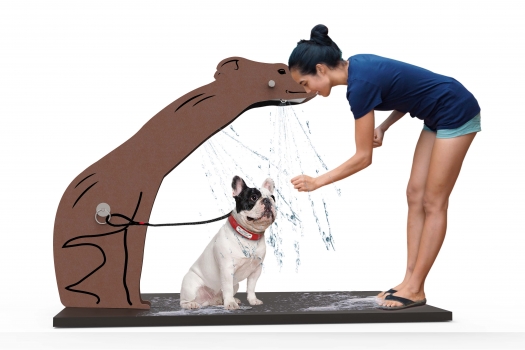 ULG-PTS-004 - Outdoor Dog Shower Station