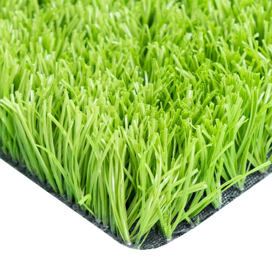 ULG-ALG-004 - Lime Grass